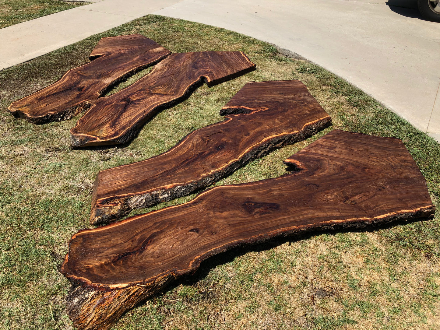 Live Edge Black Walnut Slab - Kiln dries, Premium Finish