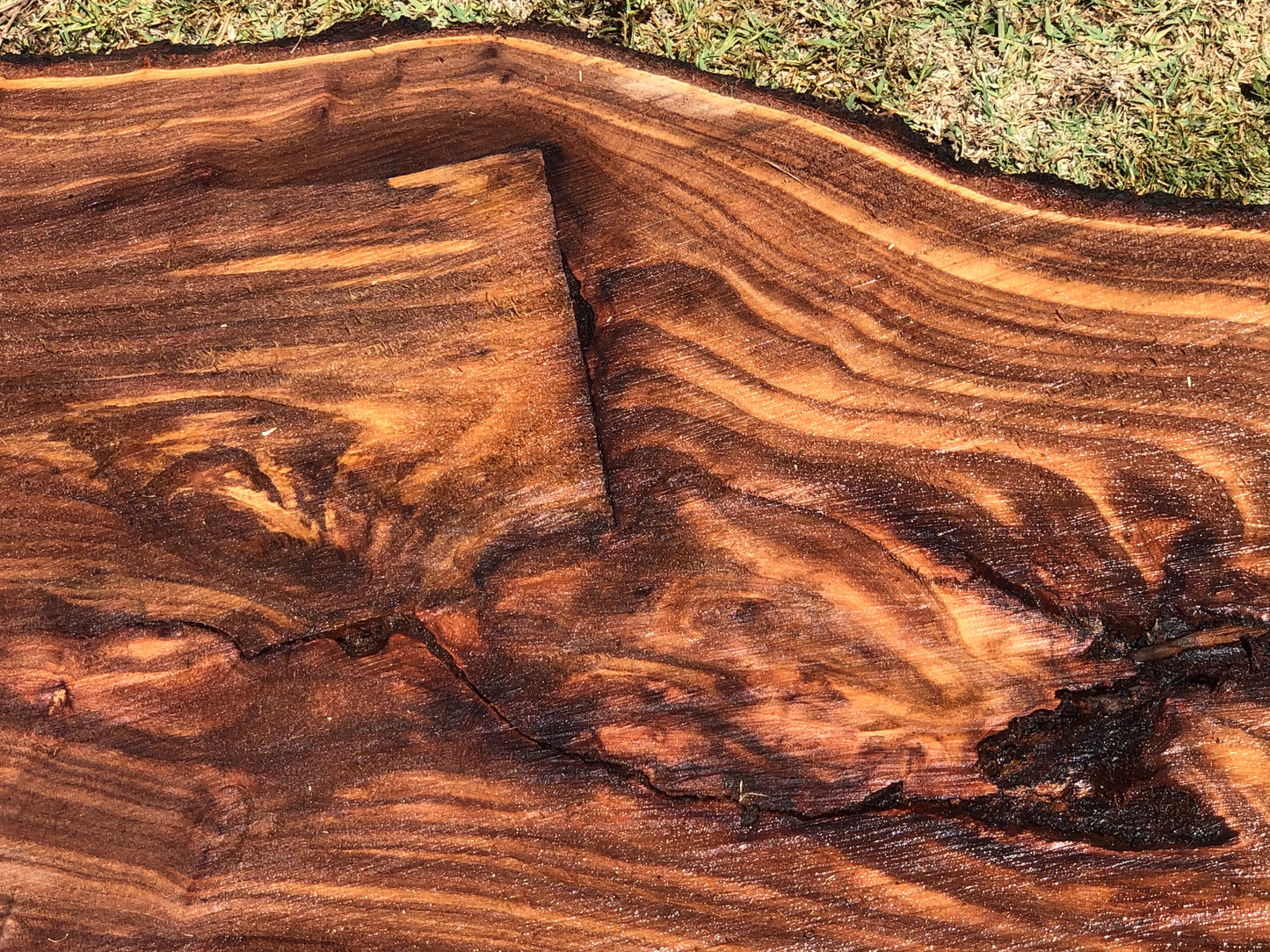 Live Edge Black Walnut Slab - Kiln dries, Premium Finish