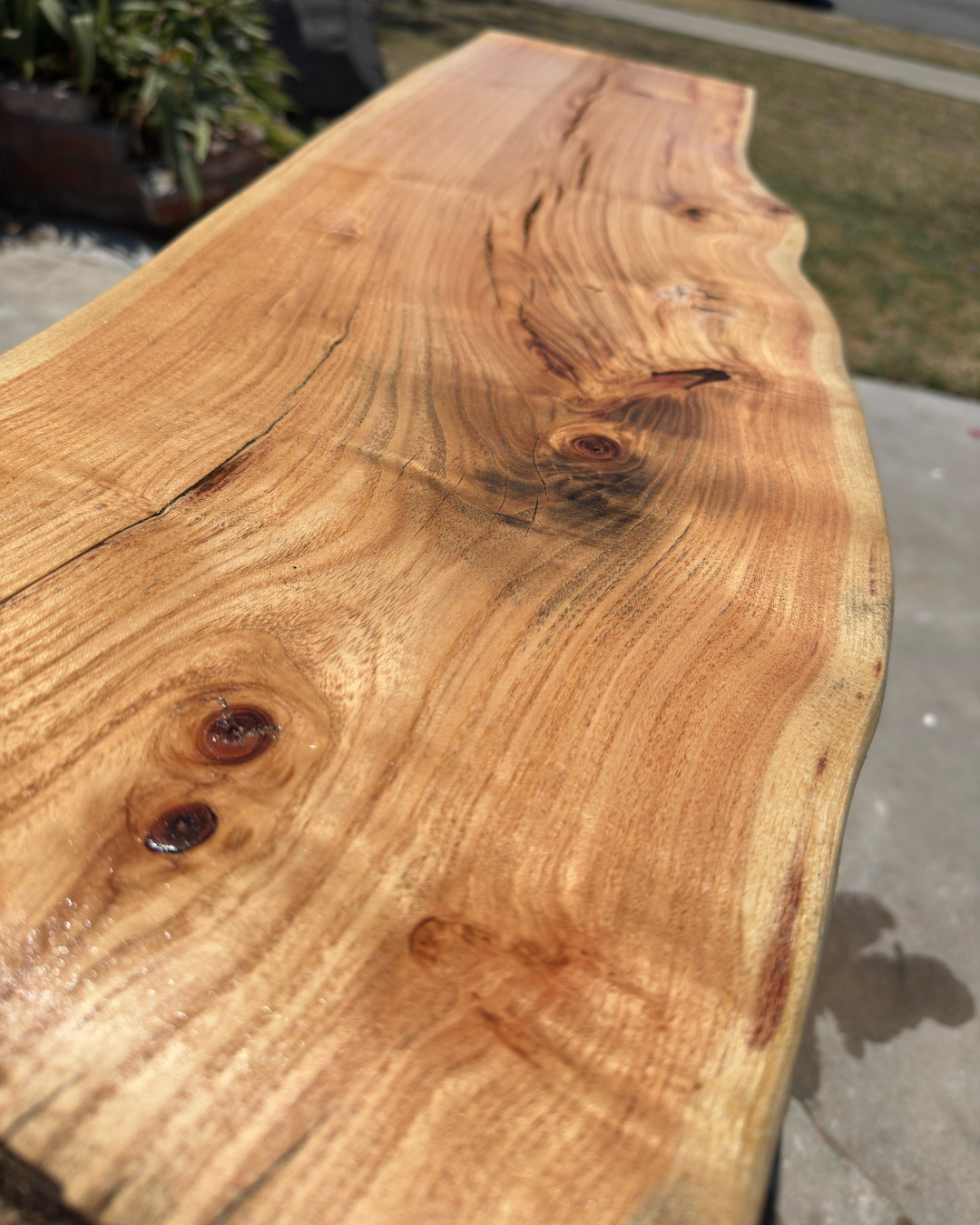 Live Edge Coffee Table Slab - Honey Locust