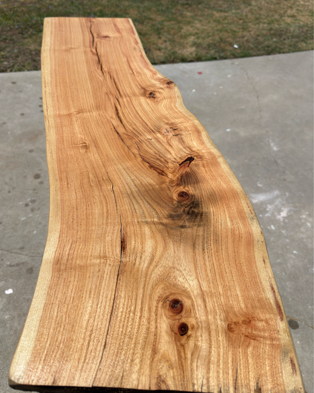 Live Edge Coffee Table Slab - Honey Locust